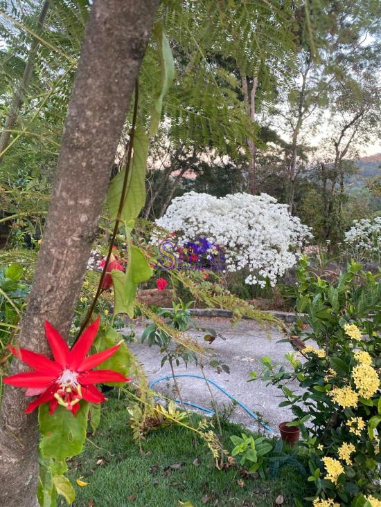 sitio-venda-condominio-quintas-das-gentilezas-1029434