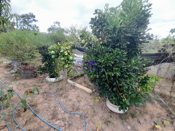 sitio-venda-parque-dos-girassois-esmeraldas-mg-1024890