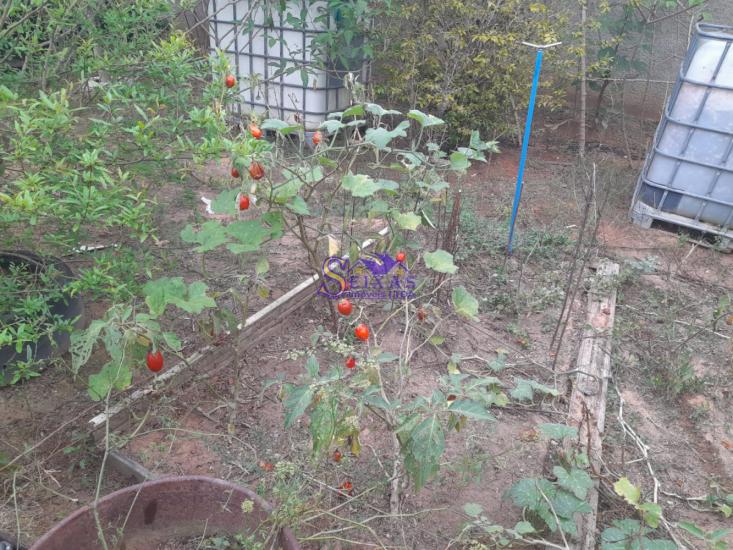 sitio-venda-parque-dos-girassois-esmeraldas-mg-1024894