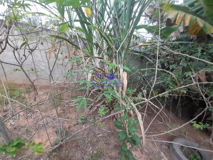 sitio-venda-parque-dos-girassois-esmeraldas-mg-1024905