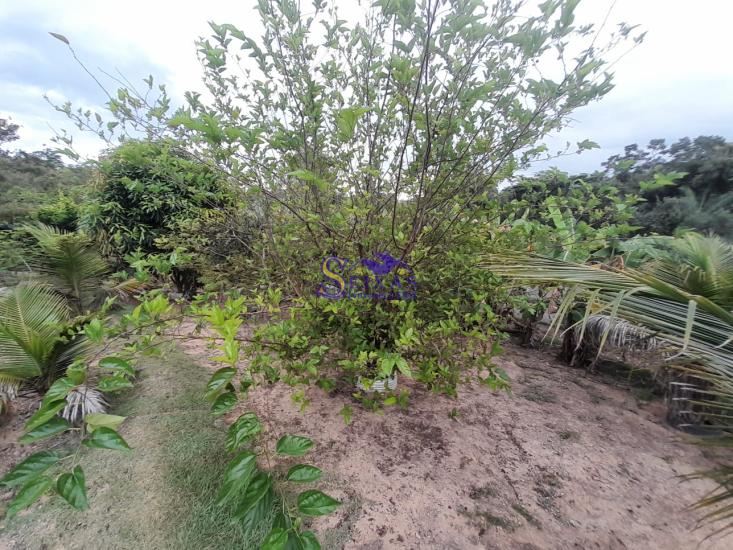 sitio-venda-parque-dos-girassois-esmeraldas-mg-1024906