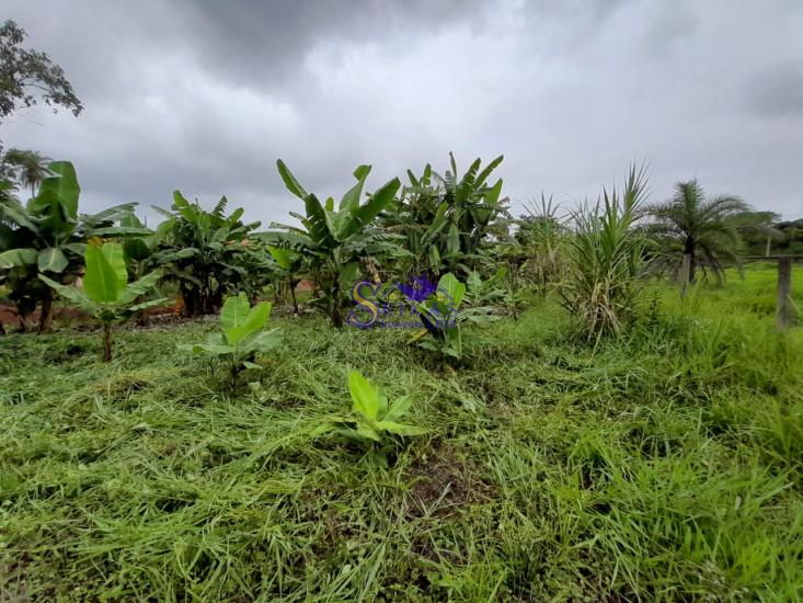 chacara-venda-estrada-dos-pimentas-vianopolis-betim-1027126