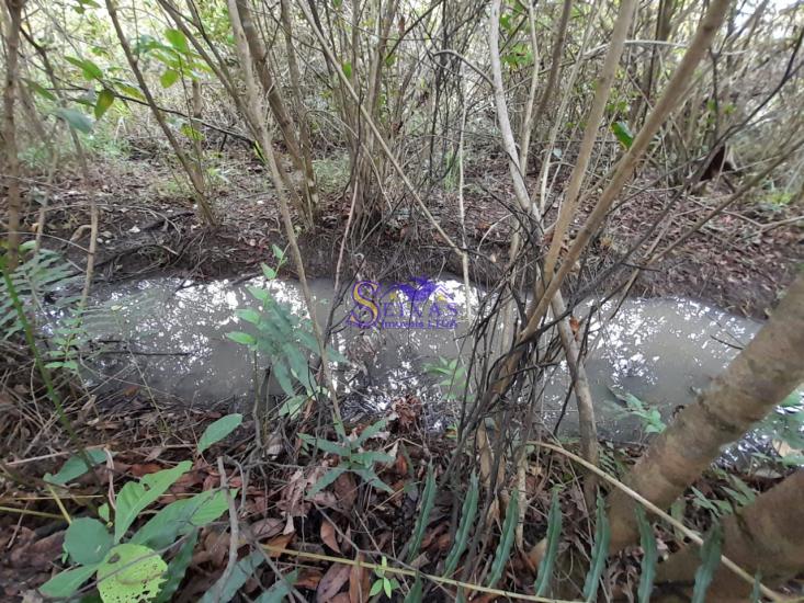 chacara-venda-estrada-dos-pimentas-vianopolis-betim-1027128