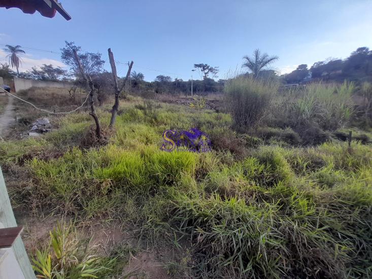 chacara-venda-estrada-dos-pimentas-vianopolis-betim-1027137