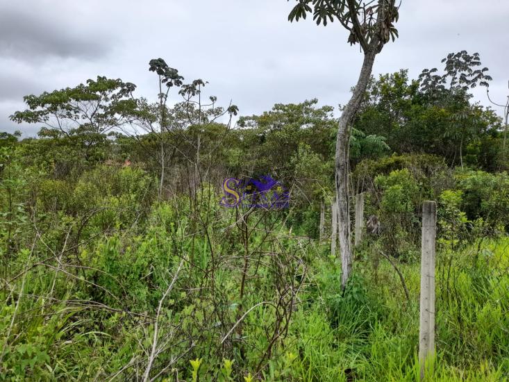 chacara-venda-estrada-dos-pimentas-vianopolis-betim-1027129