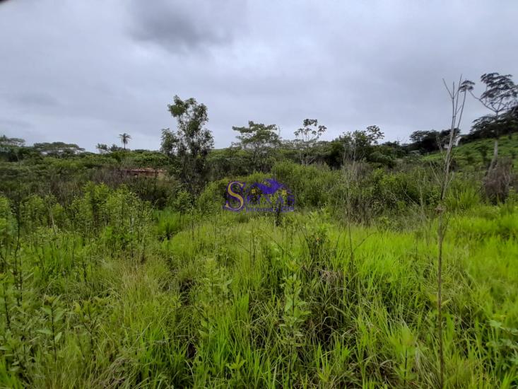 chacara-venda-estrada-dos-pimentas-vianopolis-betim-1027131