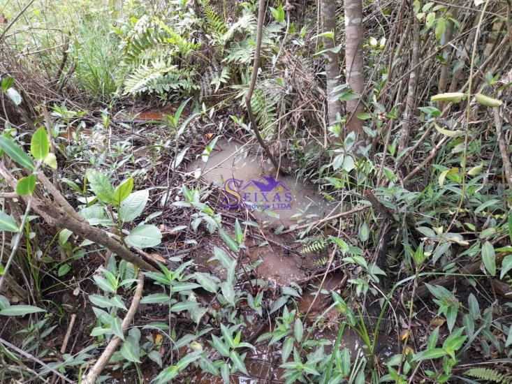 chacara-venda-estrada-dos-pimentas-vianopolis-betim-1027132