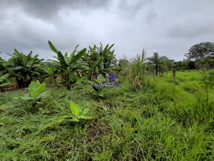 chacara-venda-estrada-dos-pimentas-vianopolis-betim-1027133